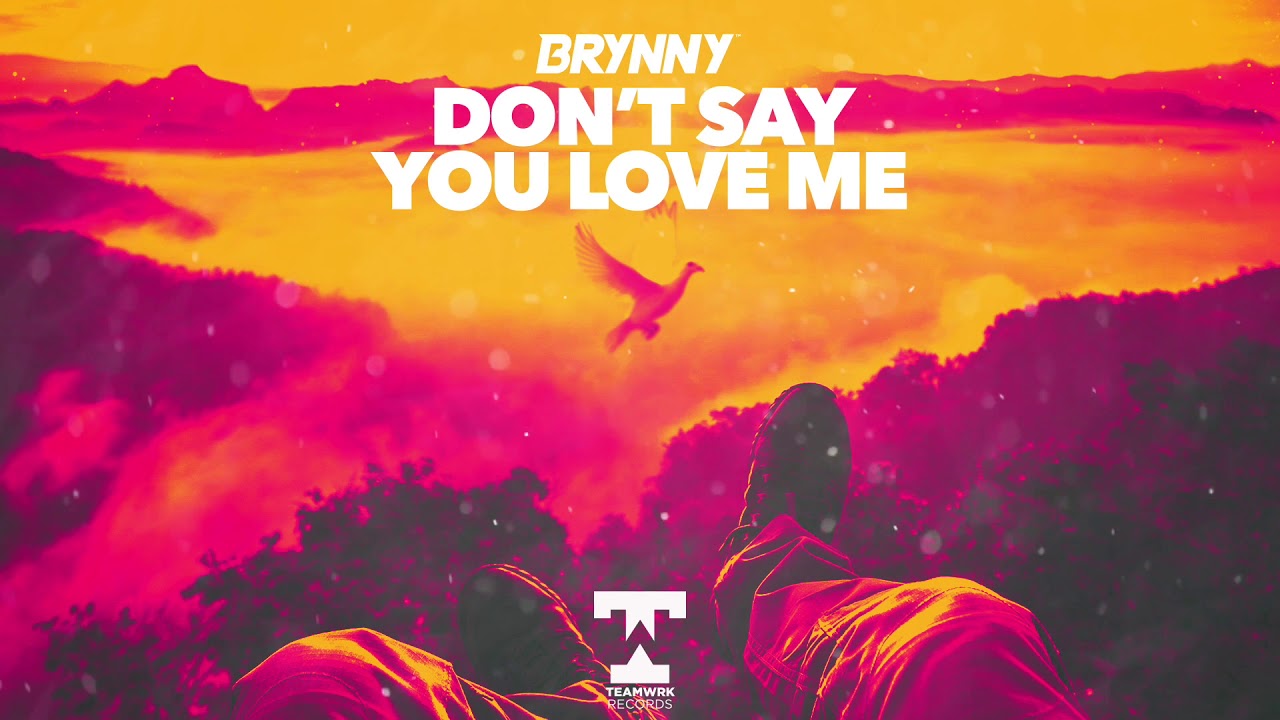 Brynny - Dont Say You Love Me