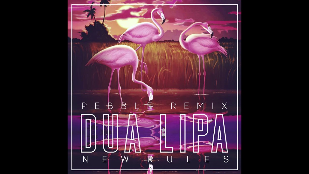 Dua Lipa - New Rules (Pebble Remix)