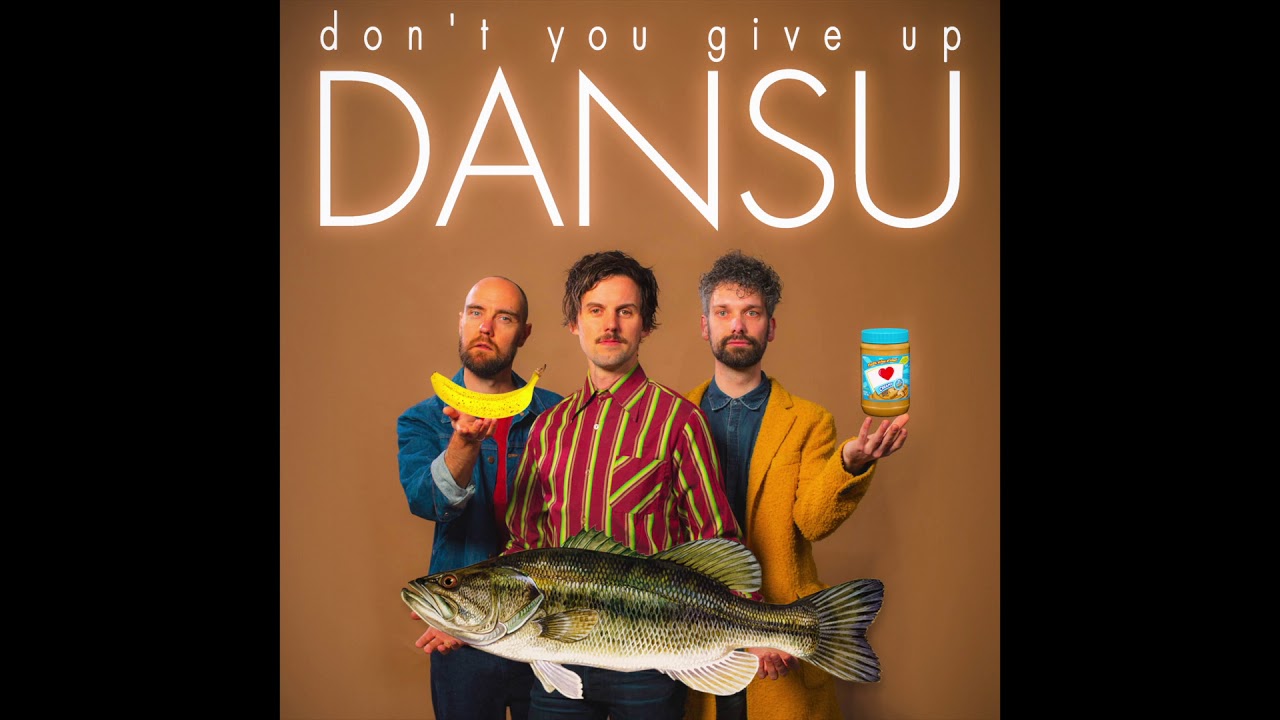 DANSU - DON'T YOU GIVE UP (official audio)