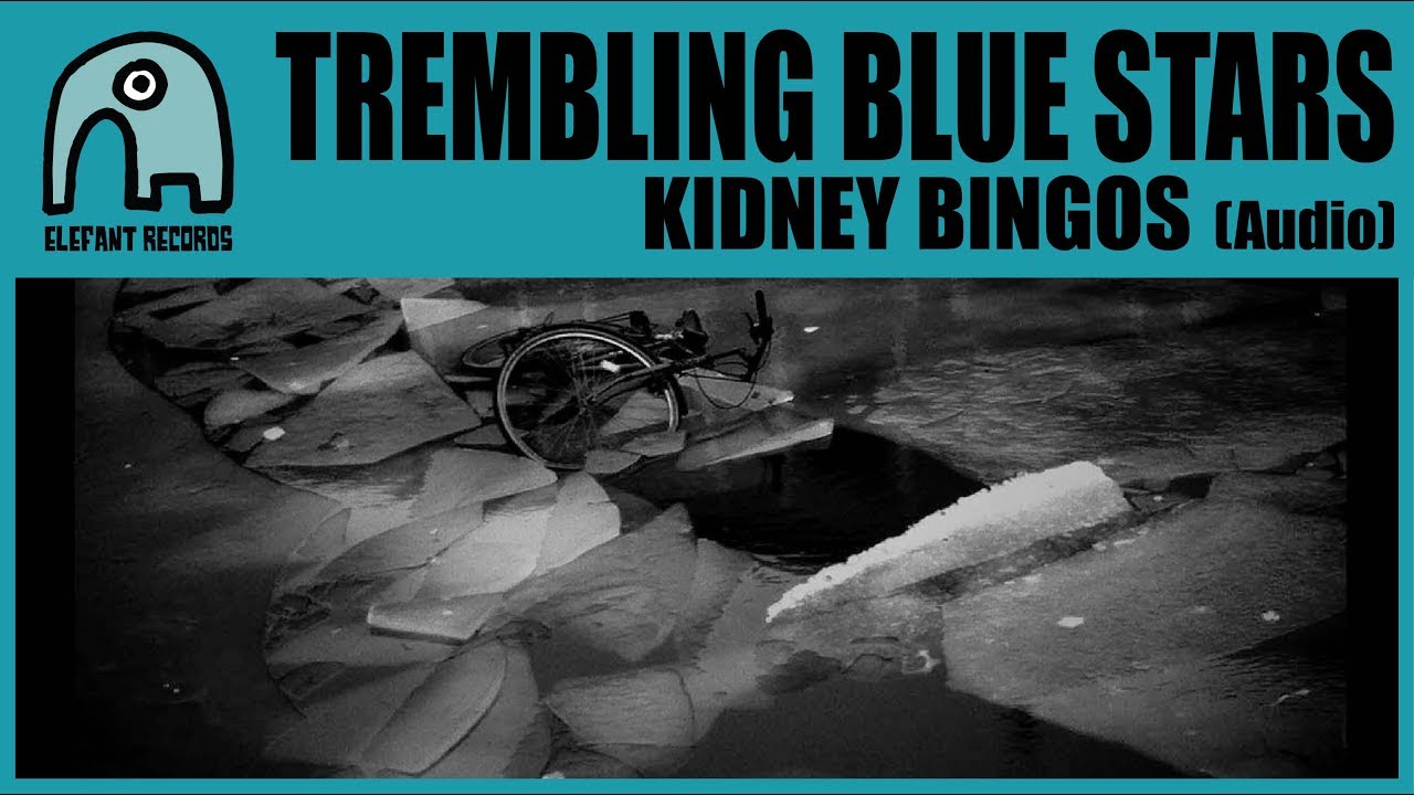 TREMBLING BLUE STARS - Kidney Bingos [Audio]