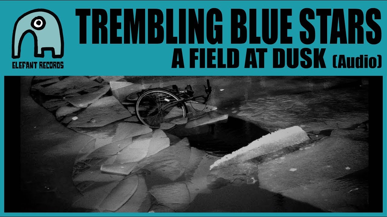 TREMBLING BLUE STARS - A Field At Dusk [Audio]