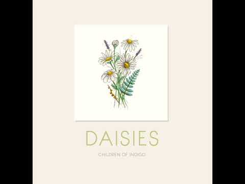 Daisies • Children of Indigo (Official Audio)