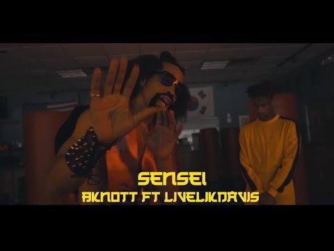Bknott ft Livelikedavis - Sensei "The Last Dragon" Remake