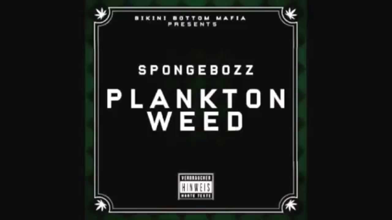 Spongebozz (Plankton Weed) - INTRO [INSTUMENTAL] | Plankton Weed