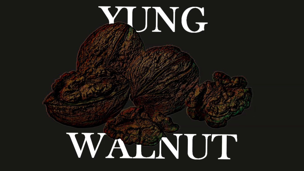 yung walnut - depresso mode