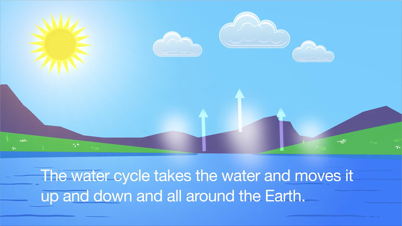 Water Cycle Song
