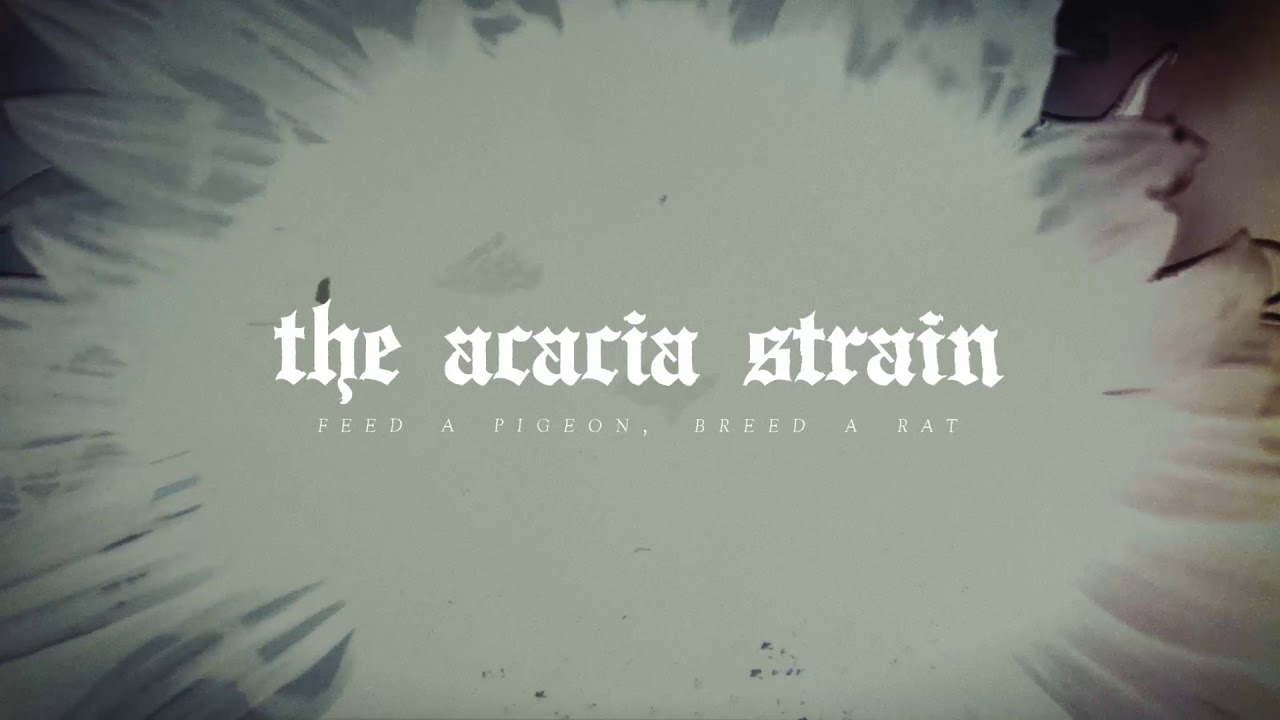 The Acacia Strain - Feed A Pigeon, Breed A Rat