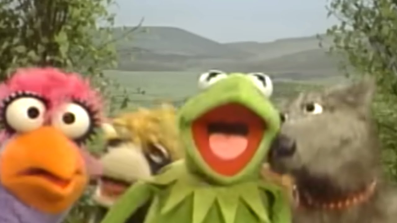 Sesame Street: Do-op Hop With Kermit