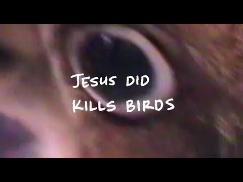 Jesus Did - Kills Birds