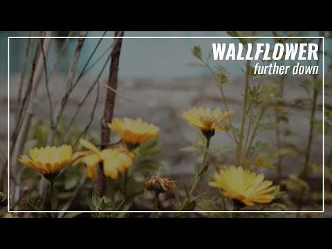 Wallflower "Further Down" Official Music Video
