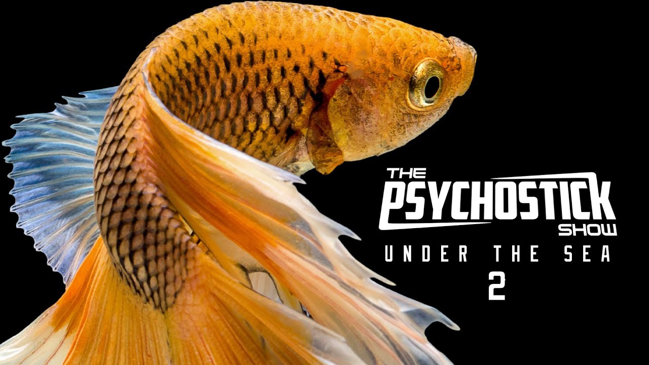 Psychostick Under the Sea LIVE ep2