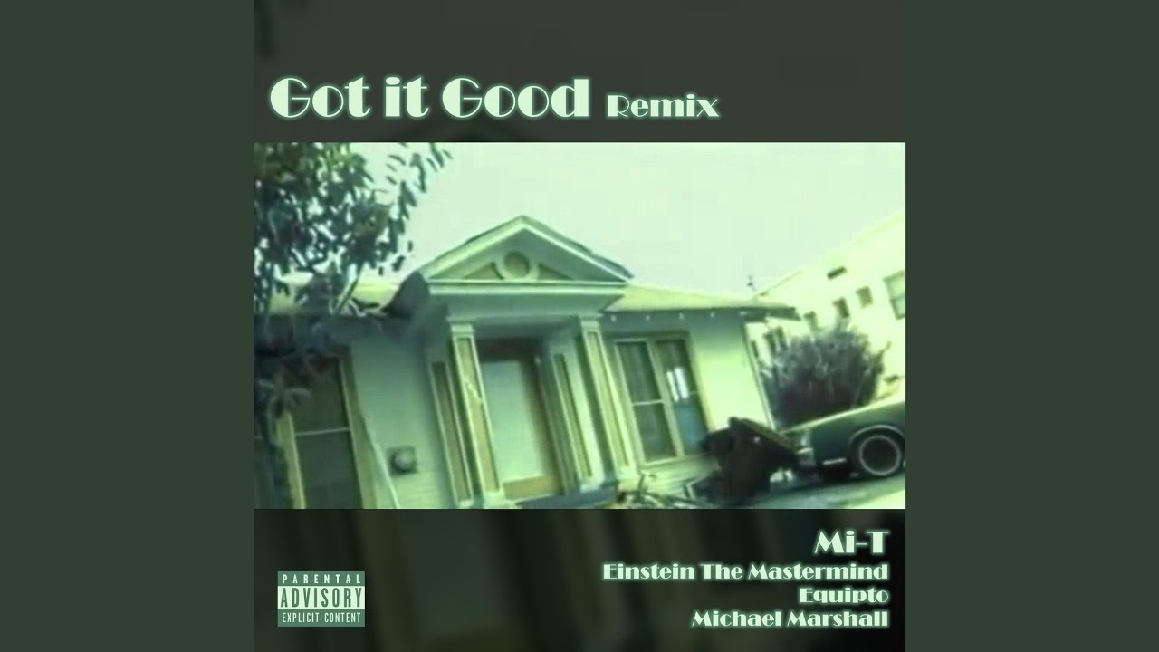Got It Good (Remix)
