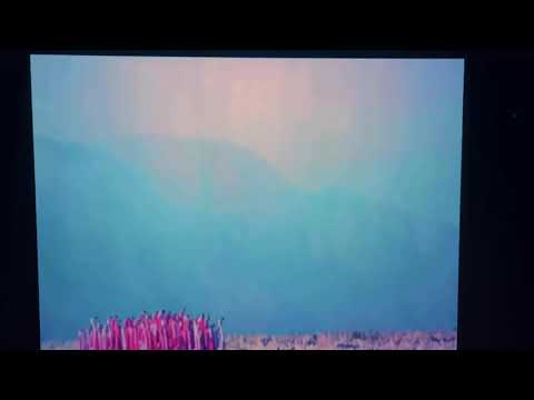 Urias - Flamingos (cover by: Baco Exu do Blues)