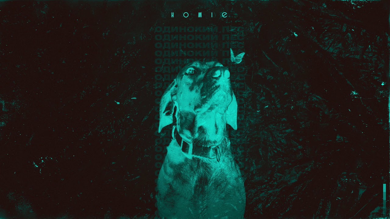 HOMIE - Одинокий пес (премьера трека, 2020)