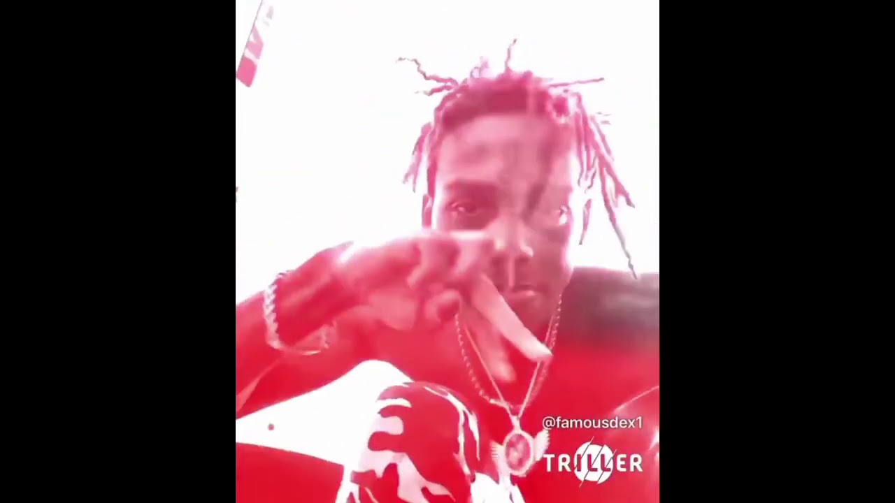 Famous Dex - Run Forest SNIPPET