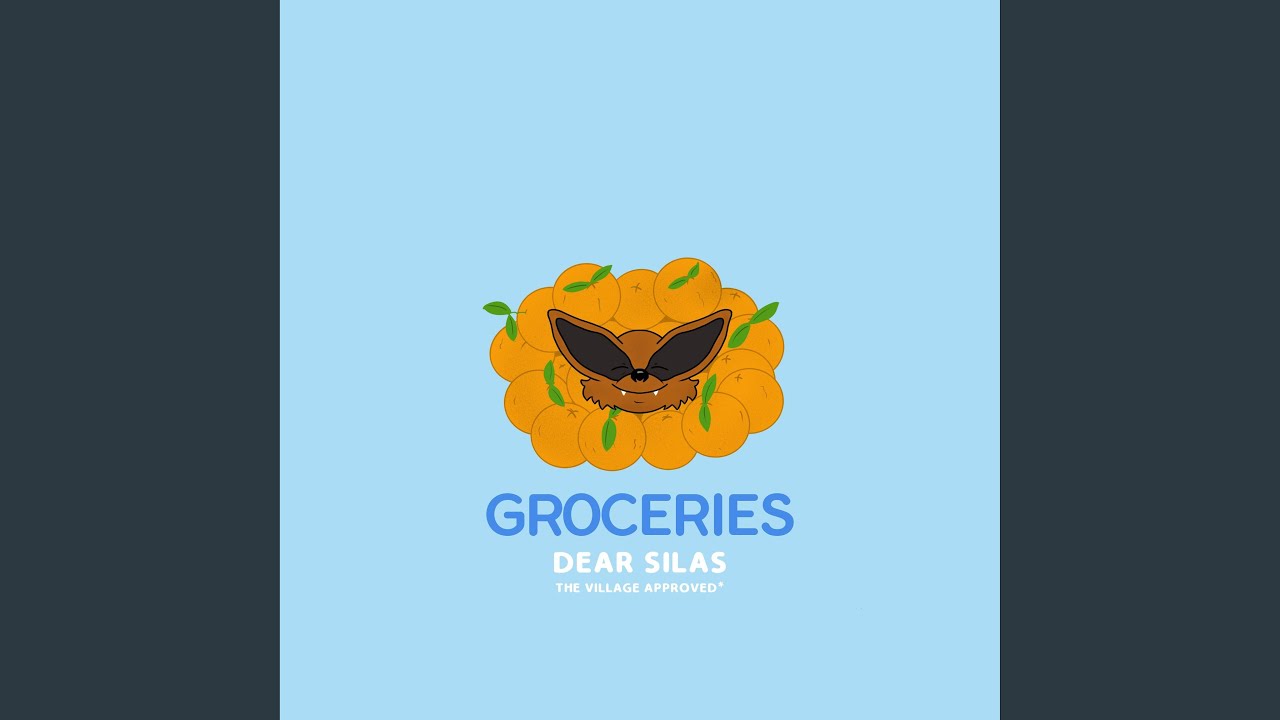 Groceries (Radio Edit) (Radio Edit)
