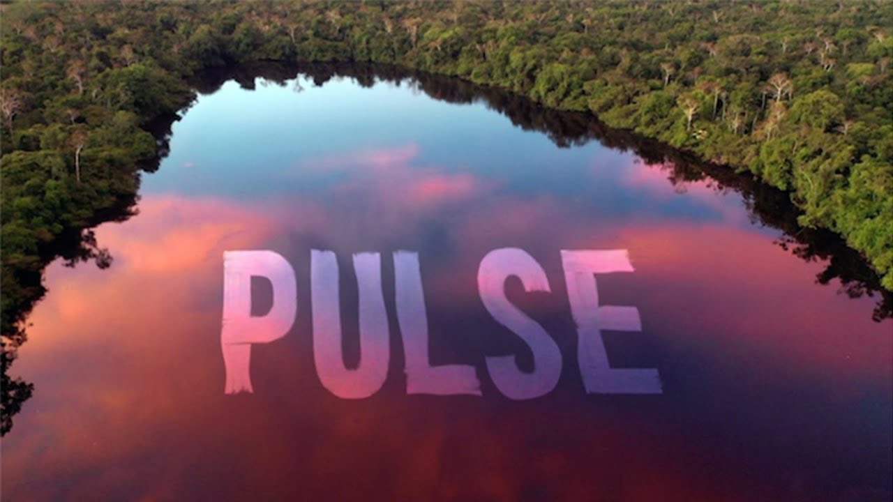 Rising Appalachia + Dirtwire - Pulse (Official Video)