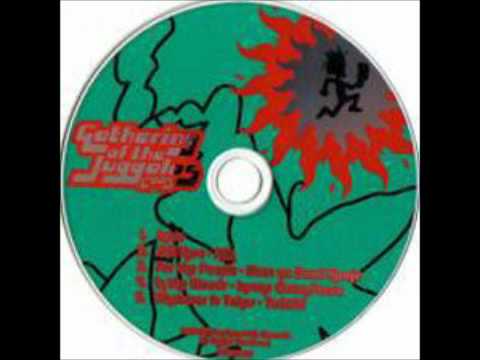 in the woods/ 2005 gathering of the juggalos sampler
