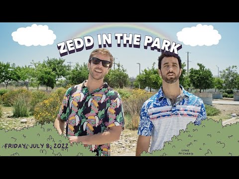 CHAD & JT TOUR ZEDD IN THE PARK