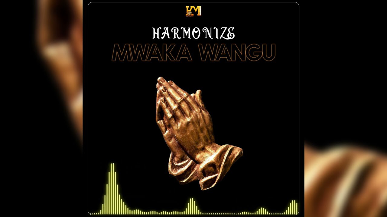 Harmonize - Mwaka Wangu (Official Audio)