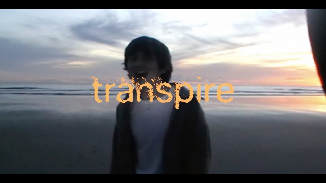 Cellarr - Transpire (Official Lyric Video)