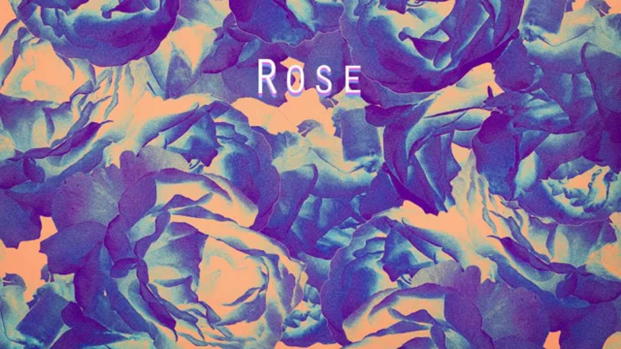 Requin Chagrin - Rose