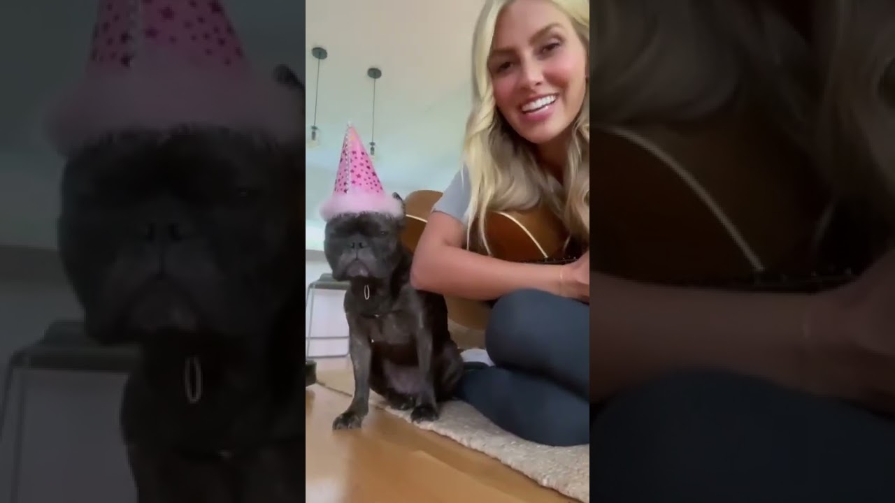 Pearl loves her a party 🎉😑 #DogsofYouTube #BirthdayMessage #PartyHat