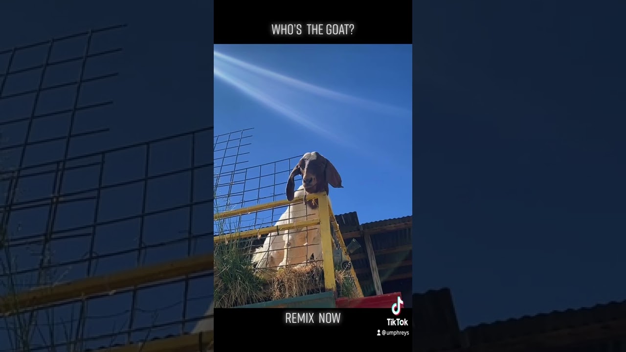 WHO’S THE GOAT? Remix “Escape Goat” on Audius.co & let’s find out.