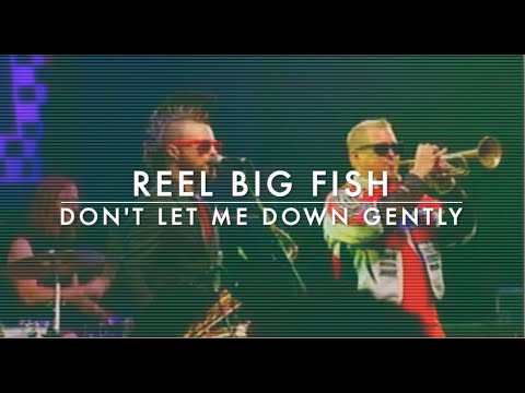 Reel Big Fish - Don't Let Me Down Gently (Visualizer)