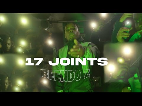BEENDO Z - Freestyle 17 JOINTS