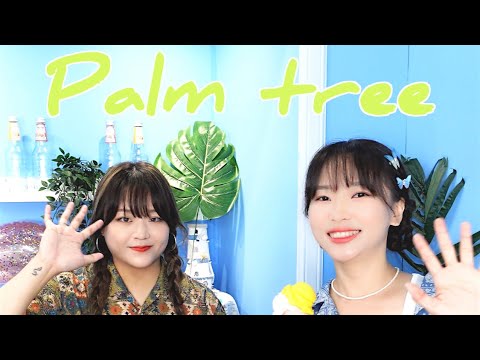 [Live clip] 새벽공방 - Palm tree 🏝💚
