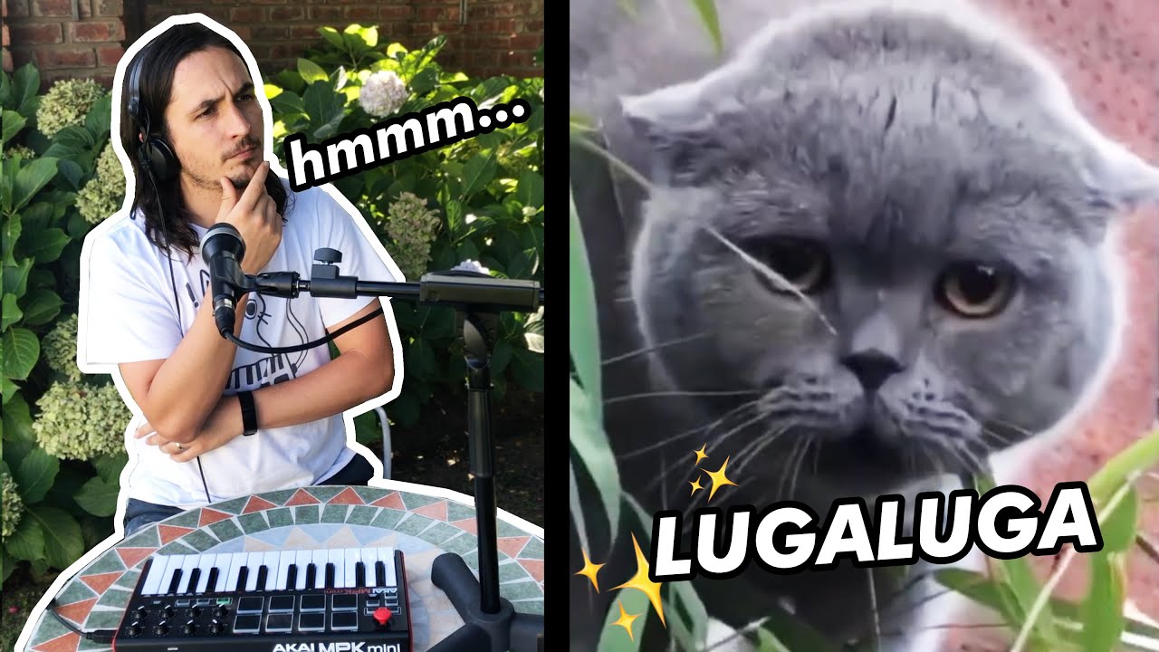 The Kiffness x Alugalug Cat 3.0 🐱✨ (Spell Cat)