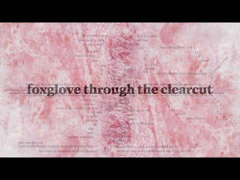 Death Cab for Cutie - Foxglove Through The Clearcut (Official Lyric Video)