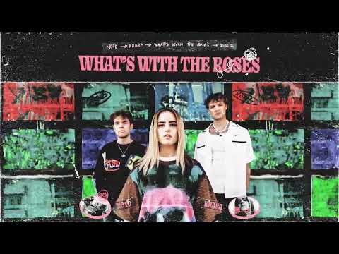 NOTD & Kiiara - What's With The Roses (Visualizer)