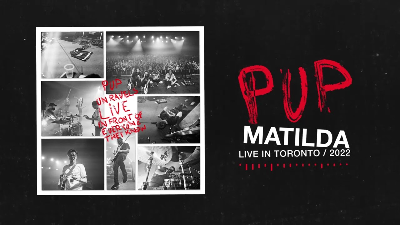 PUP - Matilda (Live in Toronto / 2022) (Visualizer)