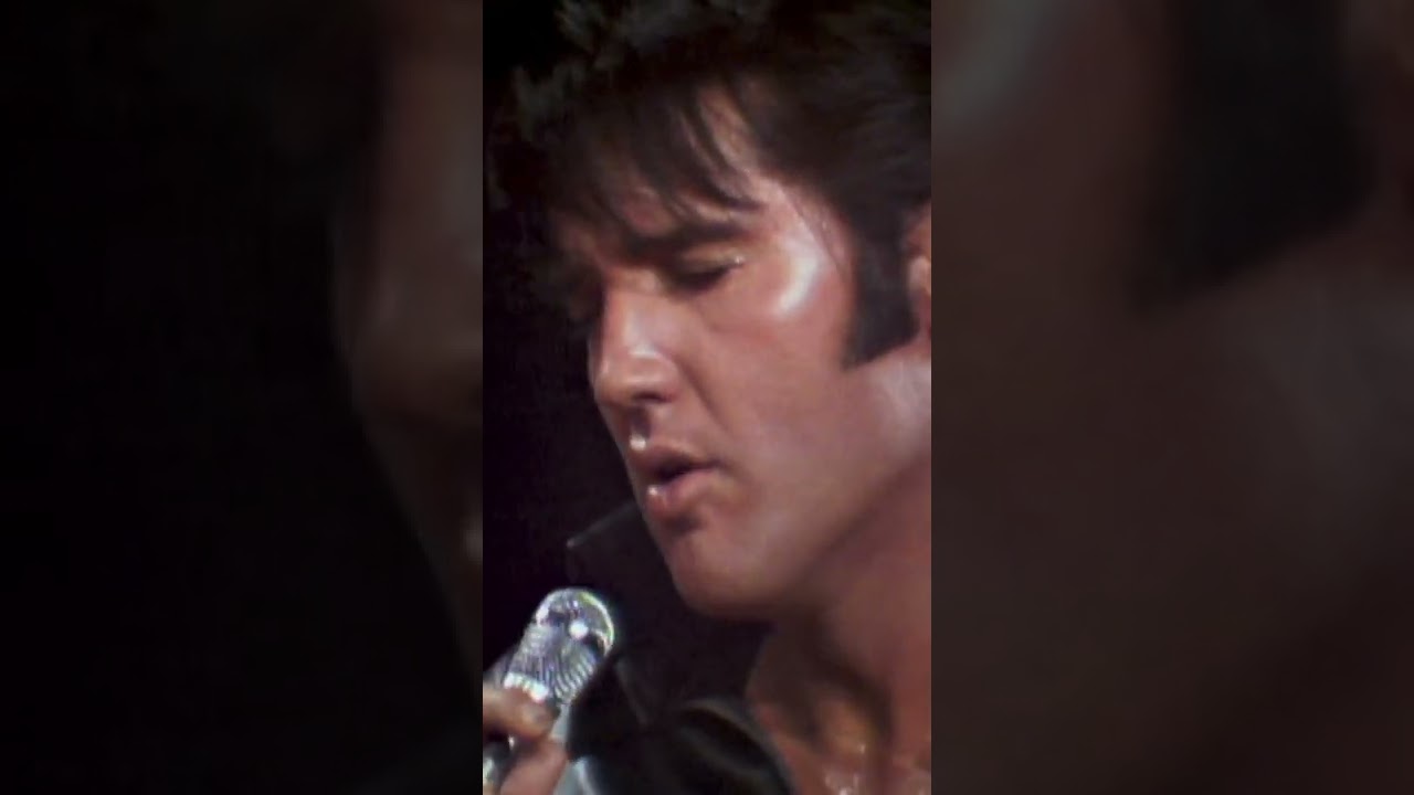 Being serenaded by Elvis 😍 #shorts