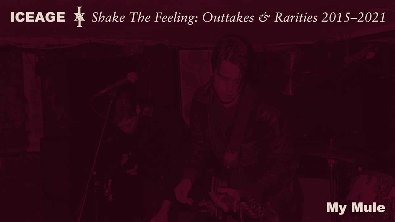 Iceage - Shake The Feeling: Outtakes & Rarities 2015-2021 (Full Album)