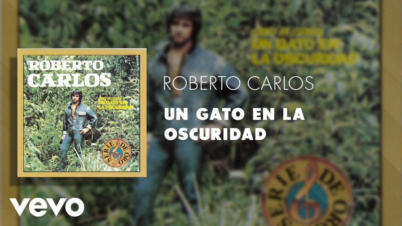 Roberto Carlos - Un Gato en la Oscuridad (Áudio Oficial)