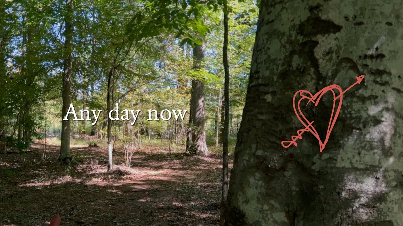 Zac Brown Band & Ingrid Andress - Any Day Now (Lyric Video)