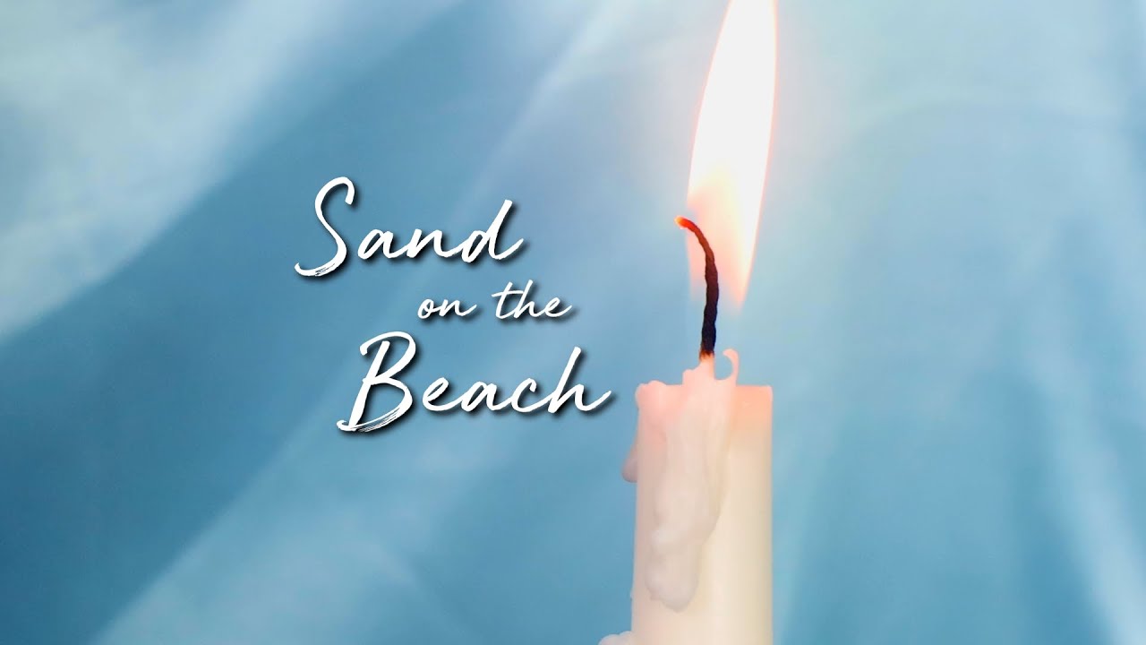 FIDLAR - Sand On The Beach (Official Music Video)