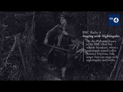 BBC Radio 4 | Singing with Nightingales | Sam Lee