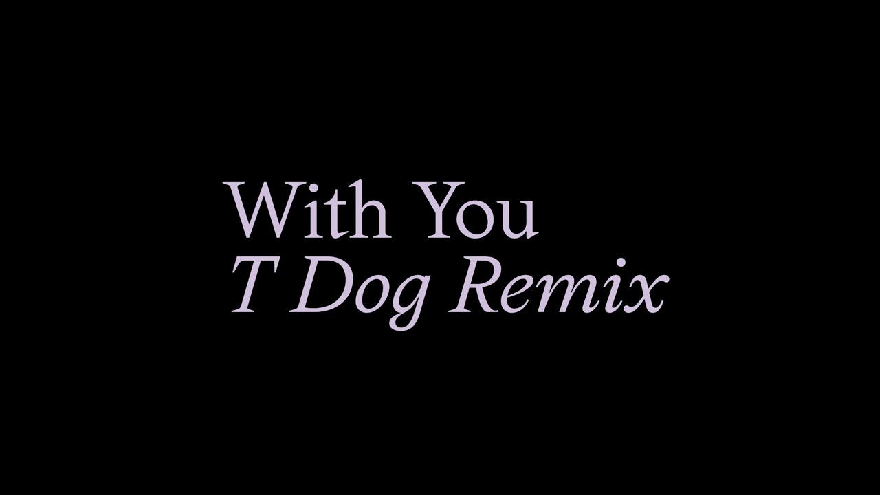 With You (T Dog Remix)