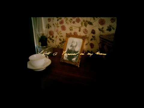 Andrew Bird - I felt a Funeral, in my Brain ft. Phoebe Bridgers (Official Video)