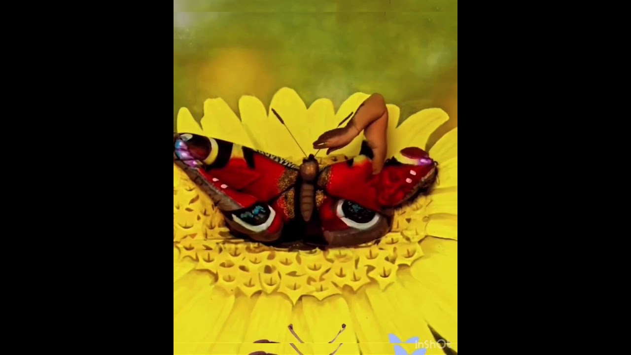 This is not a butterfly! #newvideo #subscribers #youtubevideo #viral #youtubeguru #foryou #fyp