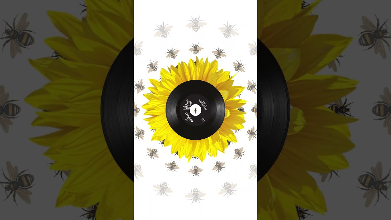 Listen To The New Mix Of Good Day Sunshine From The Revolver Special Editions