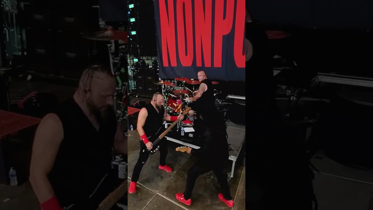 How to Mosh to Nonpoint at Blue Ridge Rock Festival #shorts