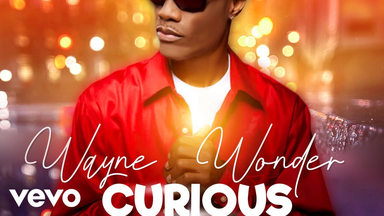 Wayne Wonder - Curious (Official Audio)