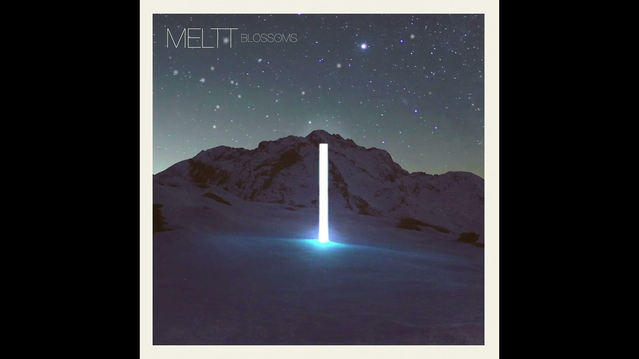 Meltt - Blossoms (Visualizer)