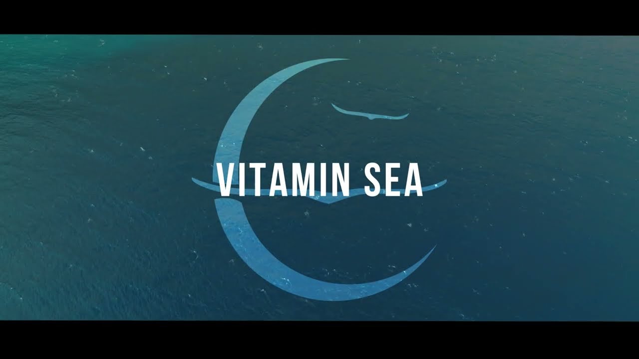 Owl City - Vitamin Sea (Official Lyric Video)