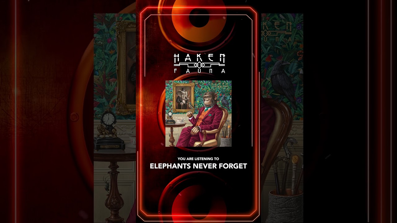 Haken - Elephants Never Forget #shorts